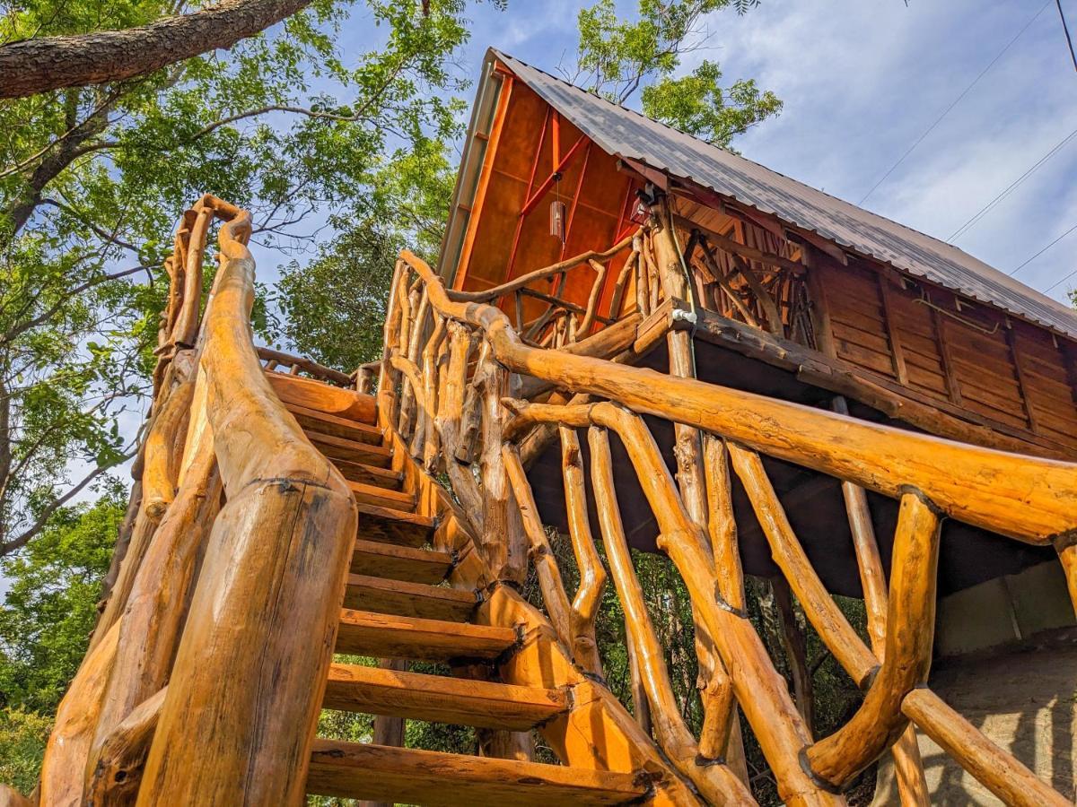 Wooden Cabana Sigiriya Luaran gambar